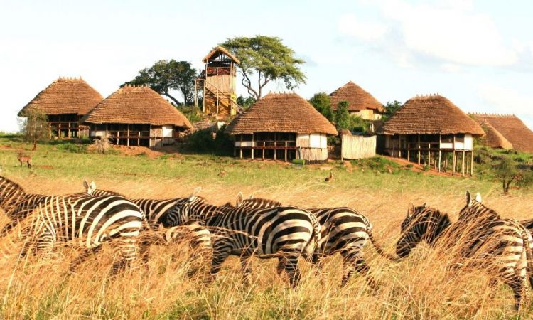 Best honeymoon destinations in Uganda