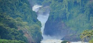 9 Days Murchison Falls, Kidepo and Pian Upe Wildlife Reserve  