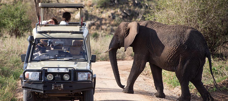 Top Uganda Safari Activities in 2022/ 2023