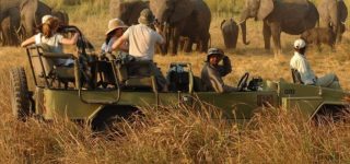 Game viewing in Kidepo valley national park