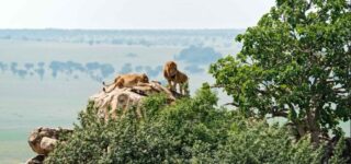 Activities To Do During Safaris In Kidepo National Park