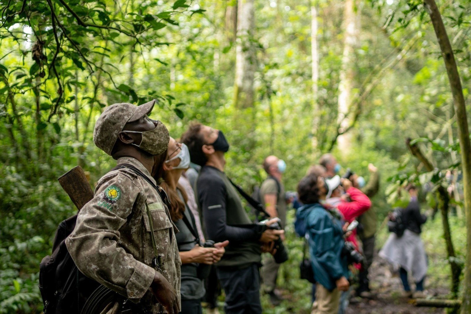 3 Days Chimpanzee Habituation Experience in Uganda